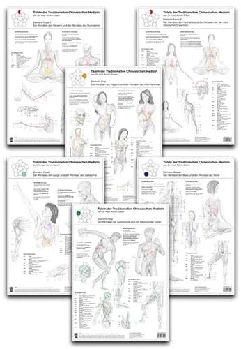 Poster Set Traditionelle Chinesische Medizin – 6 Tafeln - Informative Tafeln zur Darstellung der 12 Organmeridiane und ihrer Verbindung zu Knochen und Muskeln. Ideal für Interessierte an alternativen Heilmethoden und ganzheitlicher Betrachtung.