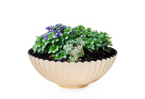 matches21 HOME & HOBBY Blumentopf Runde Pflanz-Schale gewellt für draussen champagner gold 16 cm (1 St), Wetterfeste Blumen-Schale als moderne Outdoor Gartendeko Grabschmuck