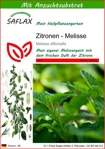 SAFLAX Blumensamen SAFLAX - Samen und Substrat - Zitronen - Melisse