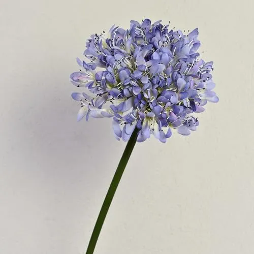 artplants.de Künstliche Schmucklilie Akali, blau-lila, 100cm - Dekorative Kunstblume mit einer Gesamtlänge von 100 cm und einem Durchmesser von 28 cm. Ideal für stilvolle Arrangements und langlebige Deko in jedem Raum.