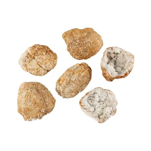 NKlaus 5x Calcit Geoden 7x7 cm – Natursteine mit funkelnder Druse, ideal für Deko, Meditation, Edelstein-Sammler & Energiearbeit, jede Geode einzigartig