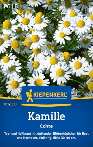 Kiepenkerl Kamillesamen Echte 1012500 – Tee- und Heilkraut mit duftenden Blütenköpfchen für Beet und Hochbeet