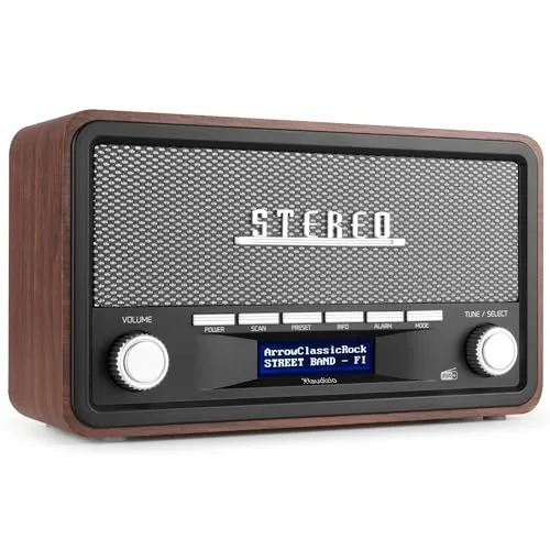 Audizio Foggia Retro Radio - DAB Plus & Bluetooth - Kompaktes Retro Radio mit DAB+, Bluetooth und Radiowecker-Funktion. Genießen Sie digitale Sender und Ihre Musik überall dank Batteriebetrieb - ideal für Garten oder Camping!
