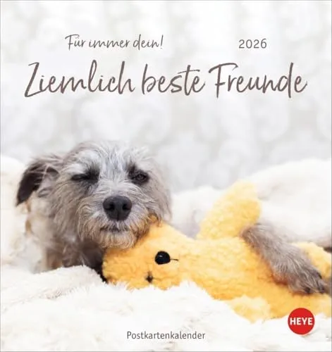 Ziemlich beste Freunde Postkartenkalender 2026 von Heye