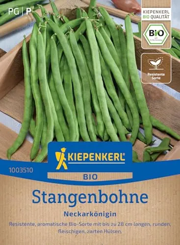 Kiepenkerl Stangenbohnensamen Neckarkönigin 1003510 - Bio Gemüsesamen für Bohnen mit bis zu 28 cm langen Hülsen und Inhalt für 15 bis 20 Stangen - Saatgut