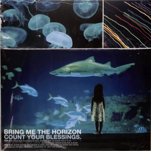 Count Your Blessings (LP) [Vinyl LP] von BMG Rights Mgmt GmbH (Universal International Music B.V.)