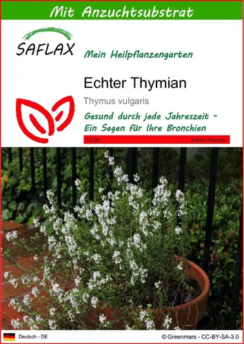 SAFLAX Blumensamen SAFLAX - Samen und Substrat - Echter Thymian