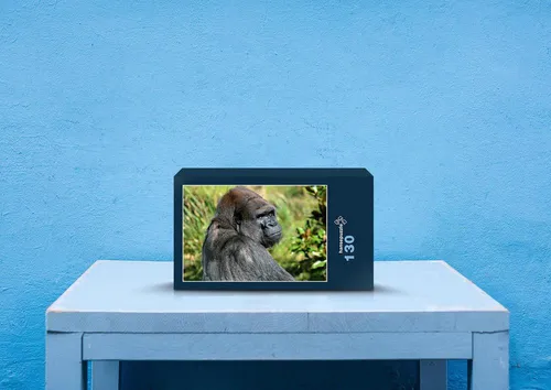 hansepuzzle 83760 - Gorilla Puzzle, 130 Teile, Tierwelt, 28,7 x 20,0cm mit hochwertiger Aufbewahrung, Kartonbox und wiederverschließbarem Beutel
