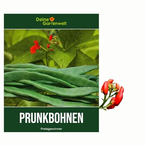 Prunkbohnen Feuerbohnen Preisgewinner Bohnen Samen von Deine Gartenwelt