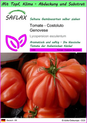 SAFLAX Gemüsesamen SAFLAX - Garden to go - Tomate - Costoluto Genovese