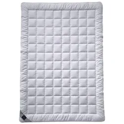 Billerbeck Cottona Superl Decke 542, 155 x 200 cm von billerbeck