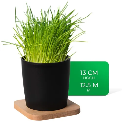 Novaliv Kräutertopf 1x Holzbrett, 1x Kräutertöpfe
