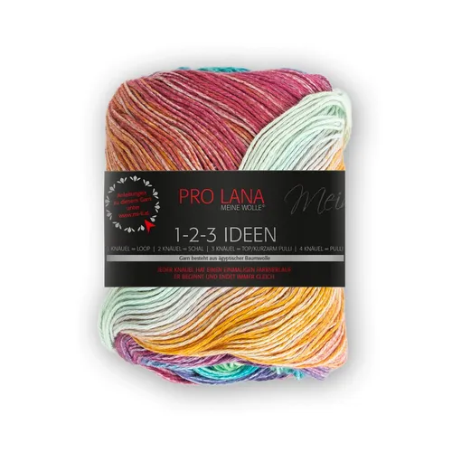 1-2-3 IDEEN von PRO LANA - RAINBOW (07) - 100 g / ca. 315 m Wolle
