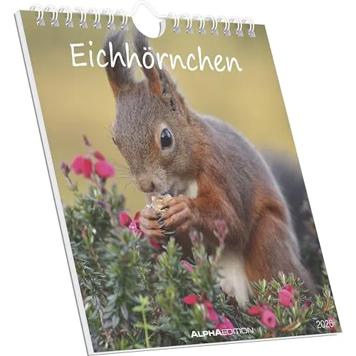 Alpha Edition - Eichhörnchen 2026 – Postkartenkalender 16×17 cm mit 53 charmanten Motiven, dekorativer Tisch- & Wandkalender mit FSC-Papier, zum Verschicken, Sammeln & Verschenken