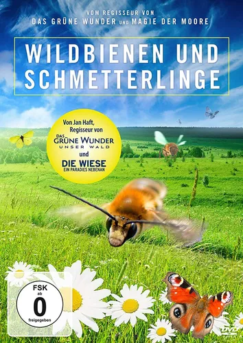 Dokumentationen von DVD