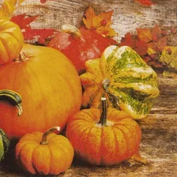 Home Fashion, Pumpkins, Cocktail-Servietten aufgefaltetes Maß 25 cm x 25 cm, im Viertelfalz, 20 Stück pro Pack