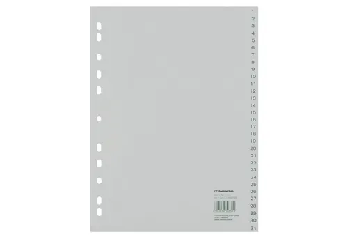 Soennecken Aktenordner Register 1525 DIN A4 1-31 volle Höhe PP grau