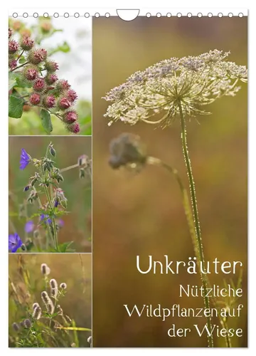 Unkräuter - Nützliche Wildpflanzen auf der Wiese 2026 - Wandkalender DIN A4 hoch, zeigt die Schönheit und Nützlichkeit von Wildpflanzen, ideal für Gartenliebhaber und Naturfreunde.