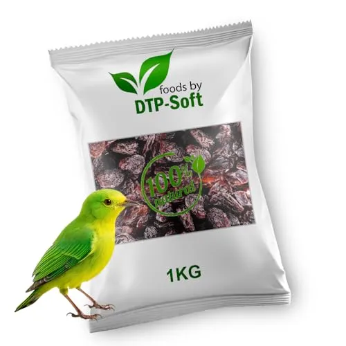 Vogelfutter | Wildvogelfutter Ganzjährig | Futterrosinen | Rosinen | Vögel | für Amseln, Gimpel, Kleiber, Grünfink | Ohne chemische Zusätze | Premium (1kg)