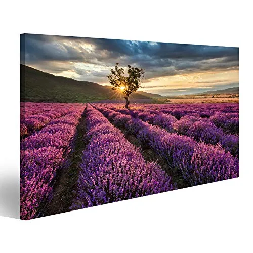 islandburner, Bild auf Leinwand Atemberaubende Landschaft mit Lavendelfeld bei Sonnenaufgang Wandbild Leinwandbild Kunstdruck Poster 80x40cm