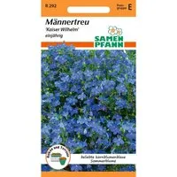 SAMEN PFANN Männertreu Lobelia Kaiser Wilhelm