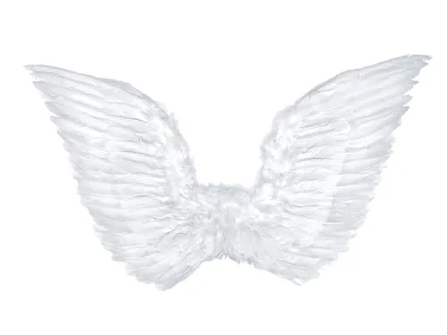 PartyDeco Engelsflügel 45x75cm zum Umschnallen - Engelskostüm für Fasching Halloween Karneval Kindergeburtstag SK3 – 008-karton – Engelsflügel mit Federn, weiß, Einheitsgröße