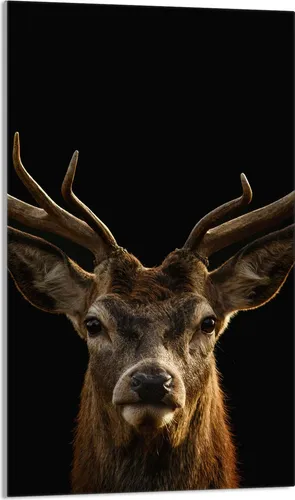 Glasschneidebrett 30x52 Hirsch