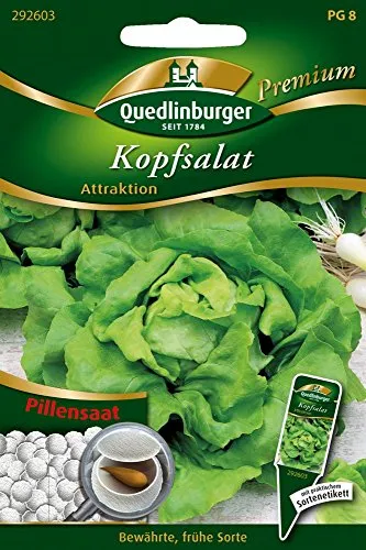 Pillensaat Kopfsalat Attraktion von Quedlinburger Saatgut von Quedlinburger