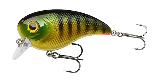 Berkley Pulse Biggie Crankbait Köder | Schwimmender, flach tauchender Crankbait für Hechte, Barsche, Zander und Bass | Hartköder für das Angeln auf Raubfische im Süßwasser | 6 cm, roter Kopf