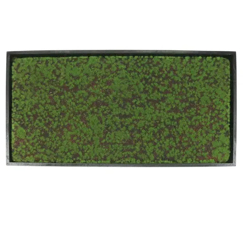 Wandbild Moosrahmen Grün 60x30cm - Künstliche Moos-Dekoration - Modernes Wandbild mit Künstlichem Moos und Dekopflanzen, ideal für frühlingshafte Akzente in jedem Raum. Maße: 60x30cm, Höhe 30cm, Breite 5cm, aus strapazierfähigem Material.