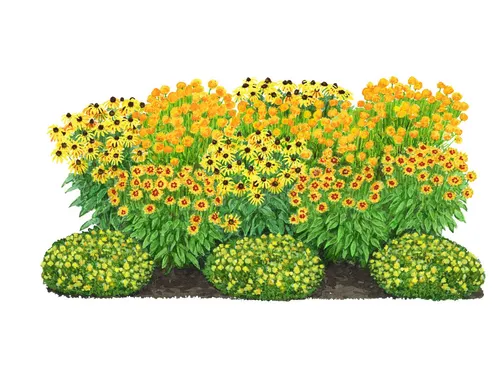Dehner Staude Bio Stauden-Set Sonnenanbeter – 12 mehrjährige Pflanzen für sonnige Standorte - Bringen Sie Farbe in Ihren Garten mit dem Bio Stauden-Set Sonnenanbeter! Enthält 12 robuste Pflanzen, die in der Sonne erstrahlen und wenig Pflege benötigen. Ideal für ein insektenfreundliches Gartenparadies.
