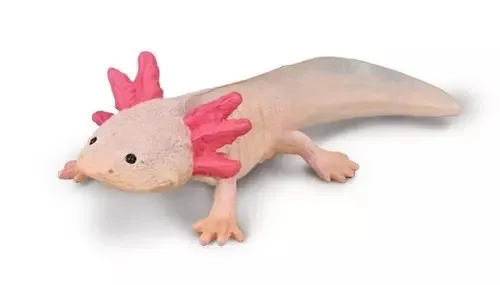 Axolotl Collecta 4892900800158