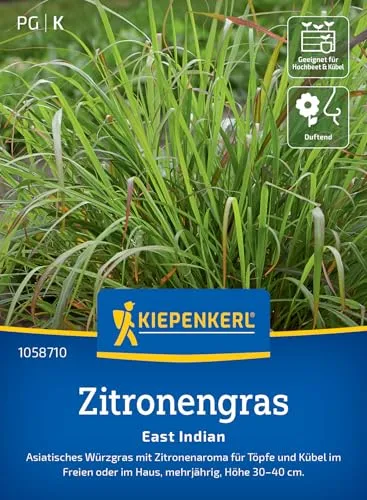 Kiepenkerl Zitronengrassamen East Indian 1058710 – Würzgras - Mehrjährig - Wuchshöhe 30-40 cm - Inhalt für 50 Pflanzen - Pflanzensamen, Saatgut