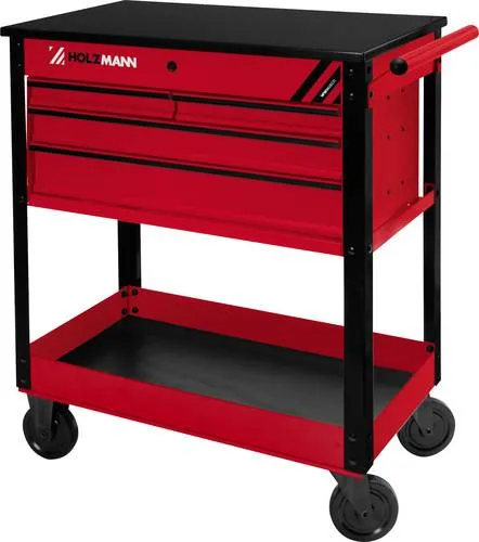 Holzmann Werkstattwagen WW862ECO - Robuster Werkstattwagen aus Holz, ideal für die Organisation von Werkzeugen und Materialien in Ihrer Werkstatt.