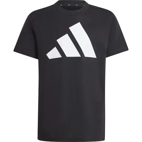 adidas Unisex Kinder Essentials Big Logo T-Shirt, Black/White, 15-16 Years (176) (JC9660)