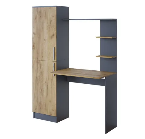 Vicco Schreibtisch Tessa - Modernes Design in Anthrazit und Goldkraft Eiche - Schreibtisch mit 2 Türen, ideal für Home Office. Modernes, rechteckiges Design in Anthrazit und Goldkraft Eiche für stilvolle Arbeitsumgebungen.