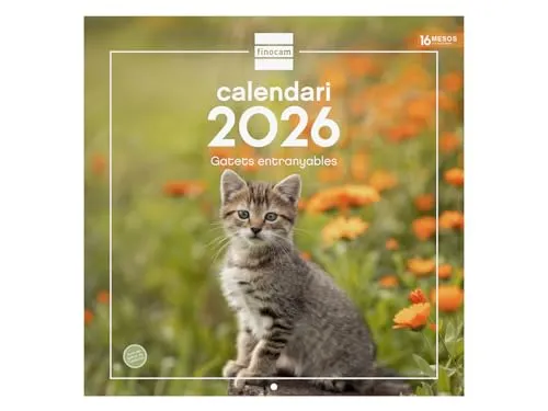 Finocam Wandkalender 2026, 30 x 30 cm, Monatsansicht Januar