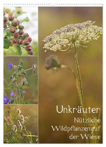 Drachenkind-Fotografie Kalender 2025 | Nützliche Wildpflanzen - Entdecken Sie auf 14 Seiten die Schönheit nützlicher Wildpflanzen. Ideal für Gartenliebhaber, bietet dieser Kalender inspirierende Naturaufnahmen und praktische Tipps für Ihre Wiese.