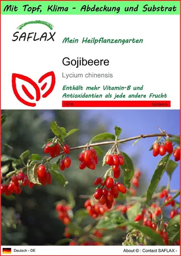 SAFLAX Blumensamen SAFLAX - Garden to go - Gojibeere