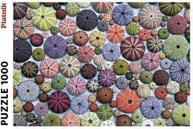 Piatnik 5488 Seeigel Puzzle - 1000 Teile, hochwertiges Jigsaw Puzzle für entspannende Stunden und kreative Herausforderungen