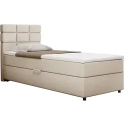 Panda Möbel Boxbett Beige 90x206 cm