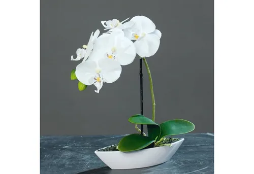 Kunstorchidee Topfpflanze, DPI, Höhe 28 cm, Farbe: Weiß, Motiv: Orchidee