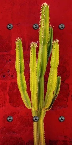 Garderoben Rot von queence