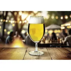 Biertulpe 6er Set – Elegante Biergläser