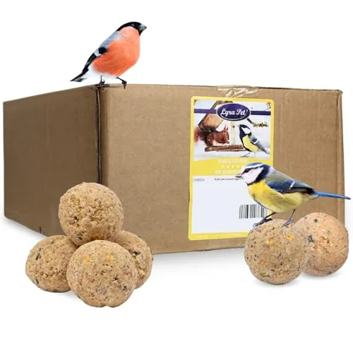 Lyra Pet® Meisenknödel ohne Netz, 100 Stück à 90 g - Vogelfutter für das ganze Jahr, 100% natürliche Zutaten, sicher für Vögel und umweltfreundlich, energiereich und mineralstoffreich.