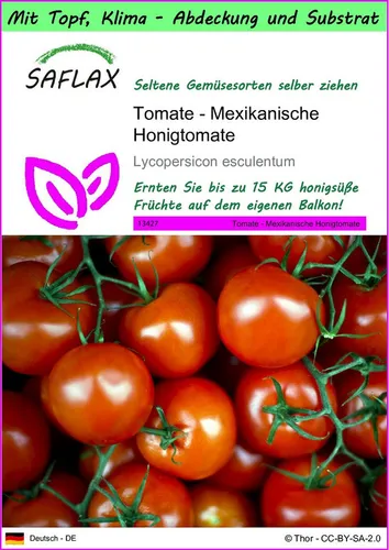 SAFLAX Gemüsesamen SAFLAX - Garden to go - Tomate - Mexikanische Honigtomate