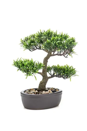 Kunstbonsai Podocarpus Goya 30cm - Steineibe für Ihr Zuhause - Attraktive Kunstpflanze, ideal für den Innenbereich. Der 30 cm hohe Bonsai bringt grüne Akzente in Ihr Zuhause und benötigt keine Pflege.