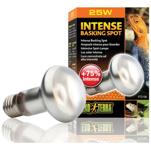 Intense Basking Spot 25 Watt Tageslichtlampe / Exo Terra Wärmespotlampe PT2196