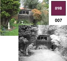 COKIN Filter P007 Infrarot (89B)