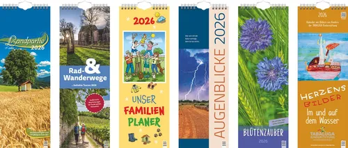 BRUNNEN Jahresplaner Streifenkalender 15,5x48cm sortiert 2026